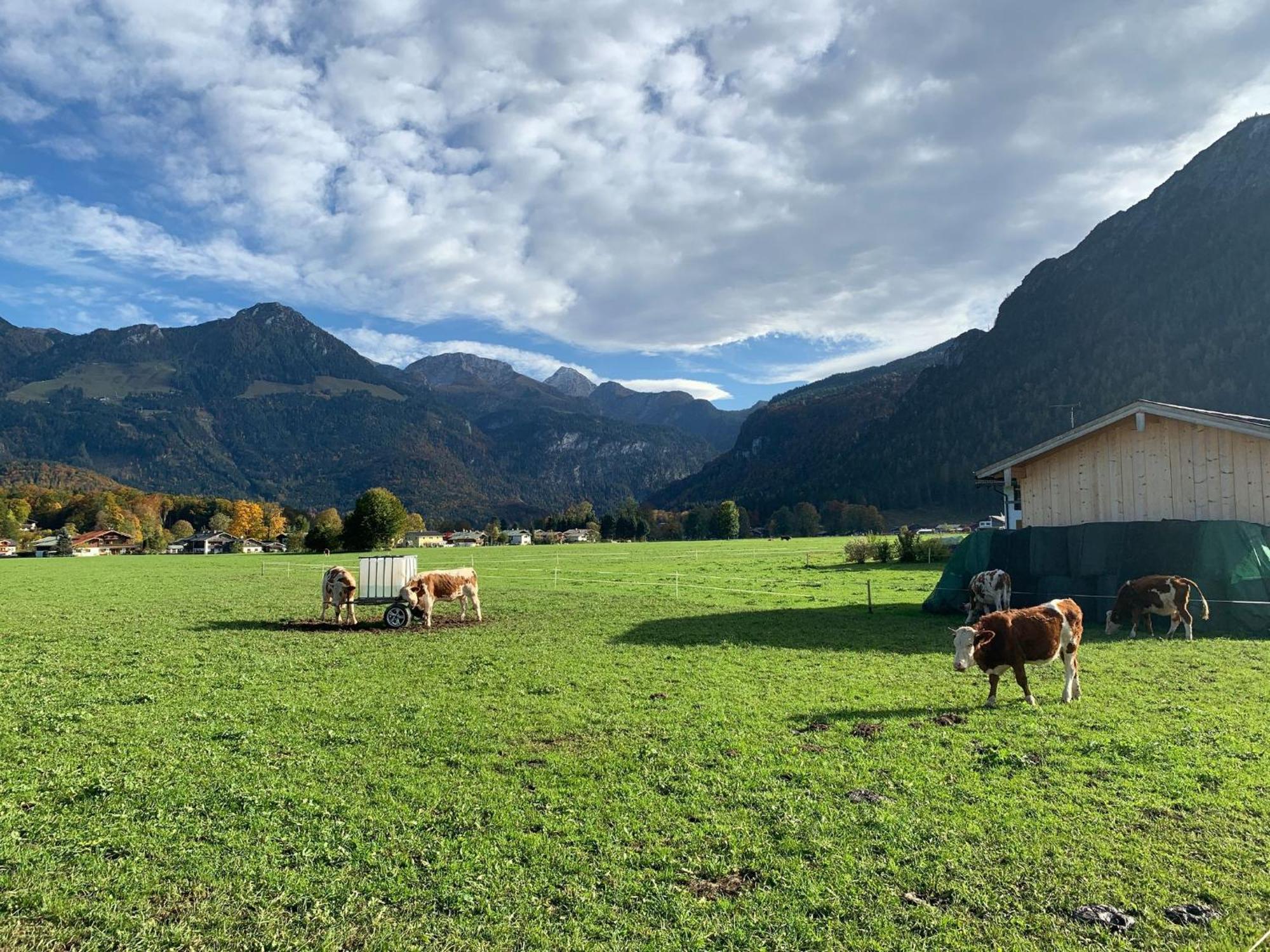 Ferienwohnung Hoher Goellblick Schönau am Königssee Extérieur photo